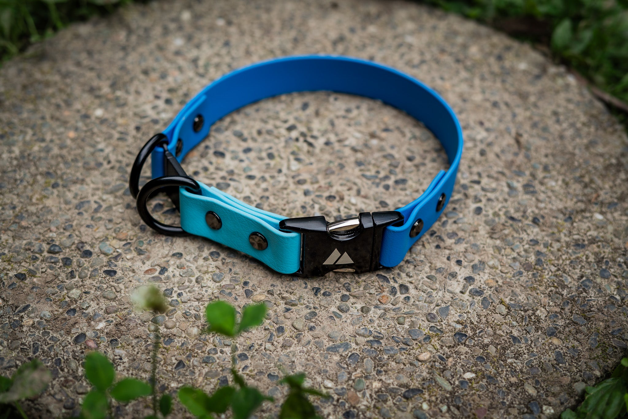 Safe and Stylish BioThane Breakaway Collars for Dogs