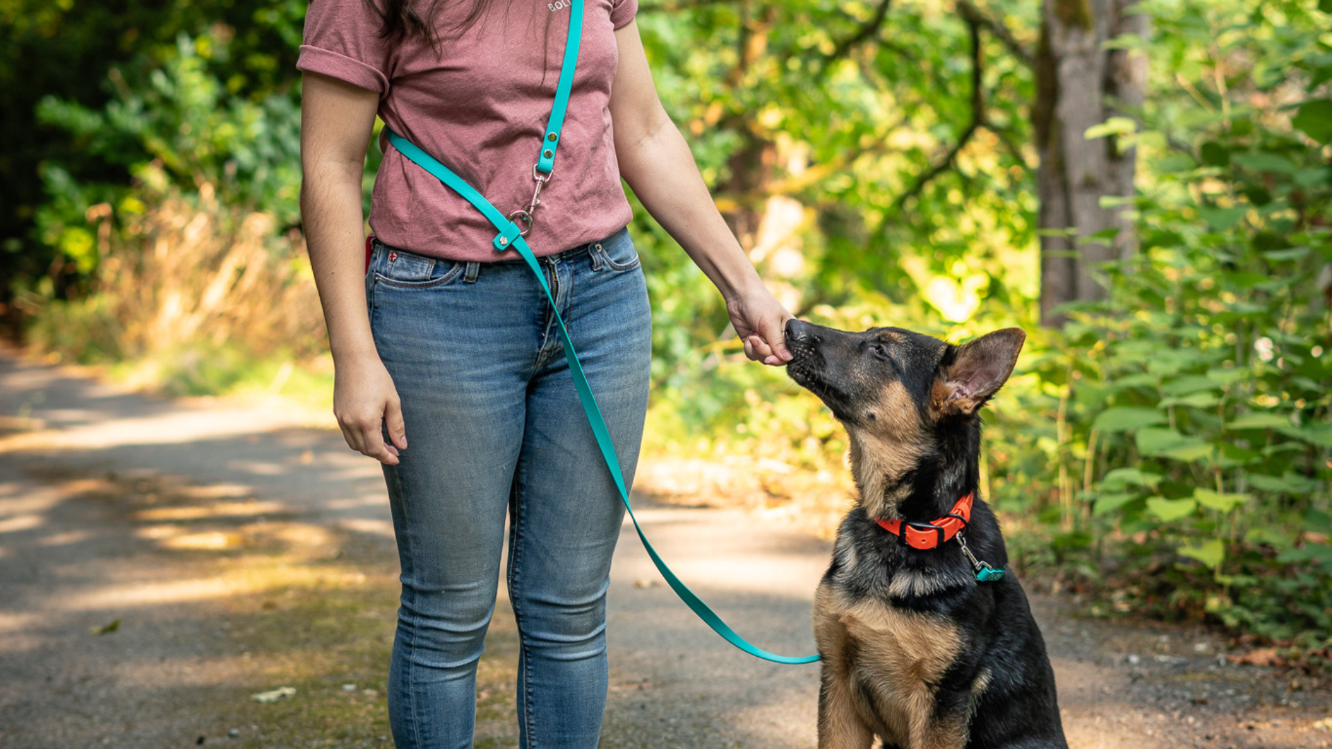 Dog trainer wearing an over the shoulder hands free BioThane leash giving a puppy a treat.
