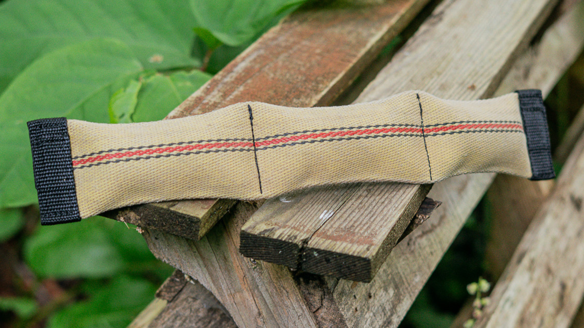 Eco-Friendly Dog Toys That Actually Hold Up: Meet Our Firehose Tugs
