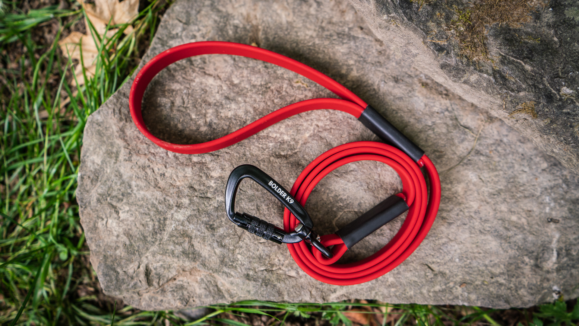 The Professional Sewn Leash: Your Go-To Strong Dog Leash for Durability and Versatility