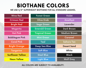 Color chart for BioThane leashes showcasing vibrant color options including red, green, blue, and yellow.