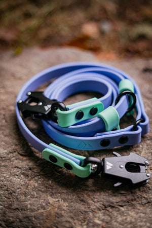 Atlas BioThane Hands-Free Leash shown in vibrant colors, showcasing flexibility and durability on a rocky surface.