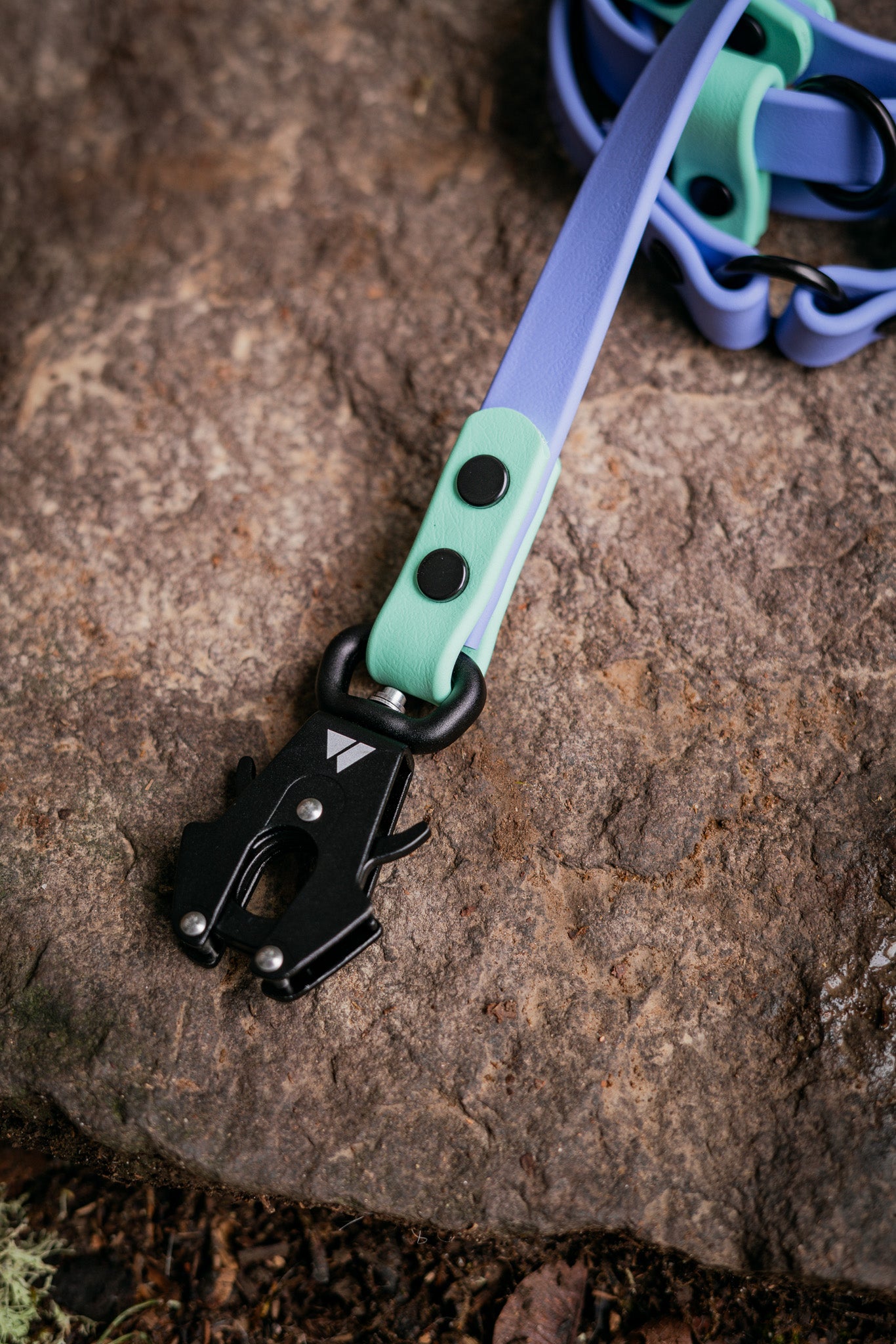 Atlas BioThane Hands-Free Leash detail on rocky surface featuring adjustable clips and durable waterproof material.