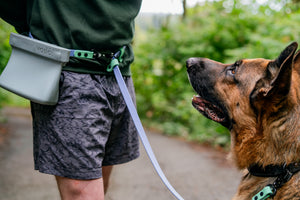 Person using Atlas BioThane Hands-Free Leash with a dog in a scenic outdoor setting.