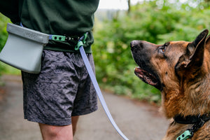 Adventure Clip for Voilà Treat Pouches attached to a hands-free leash with a dog beside it.