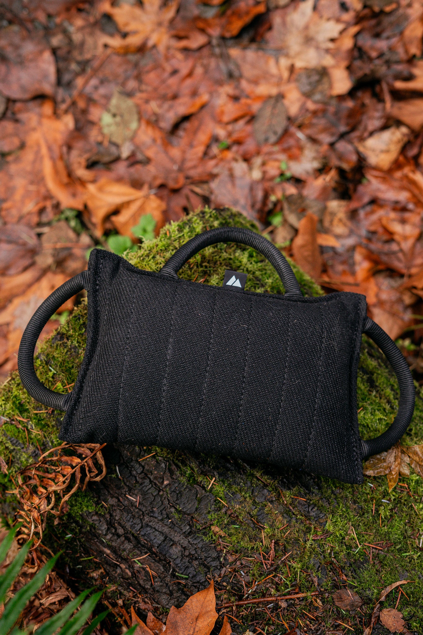 bite pillow for dogs