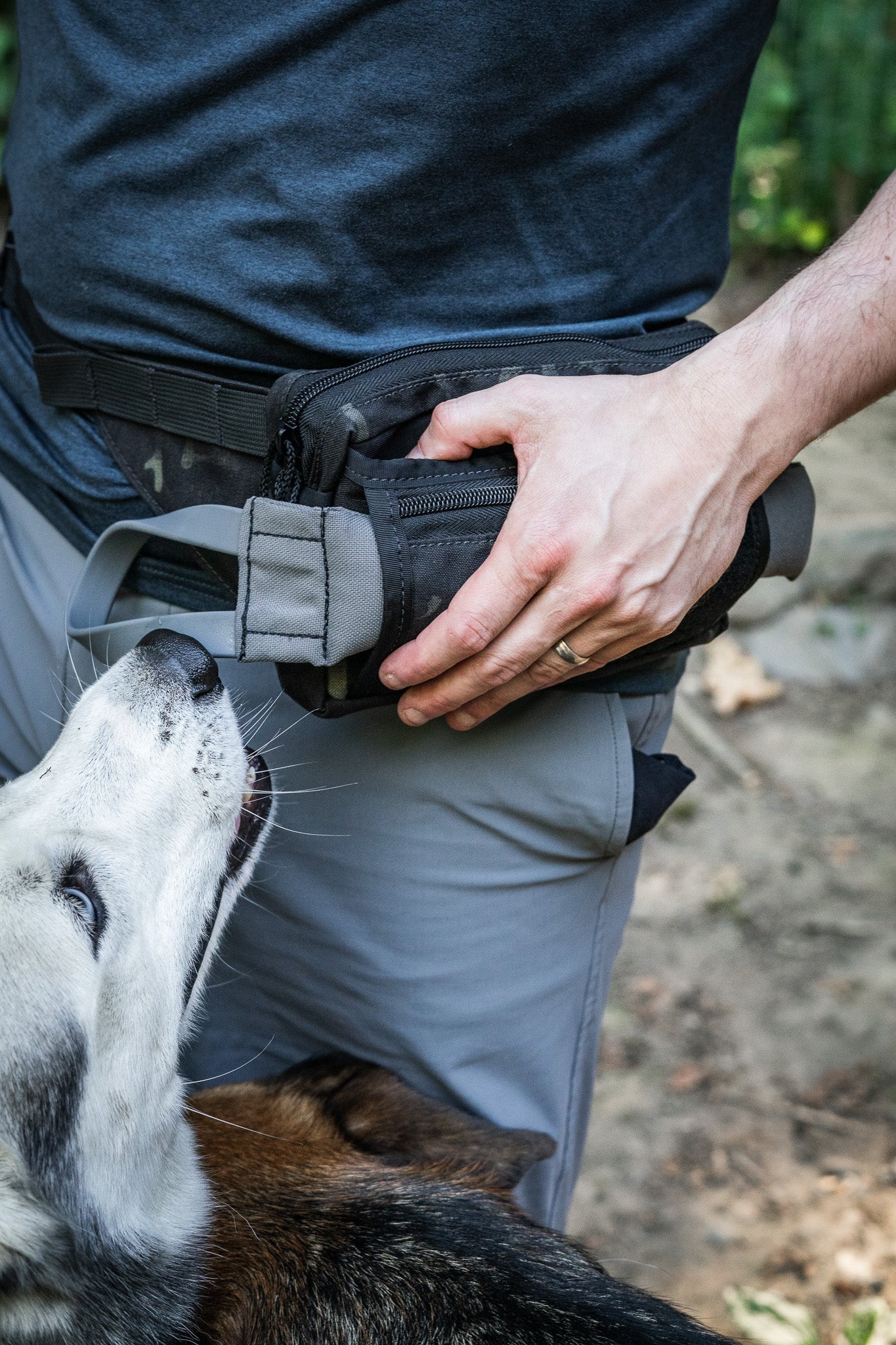 Mini Cordura Bite Tug with BioThane® Handles