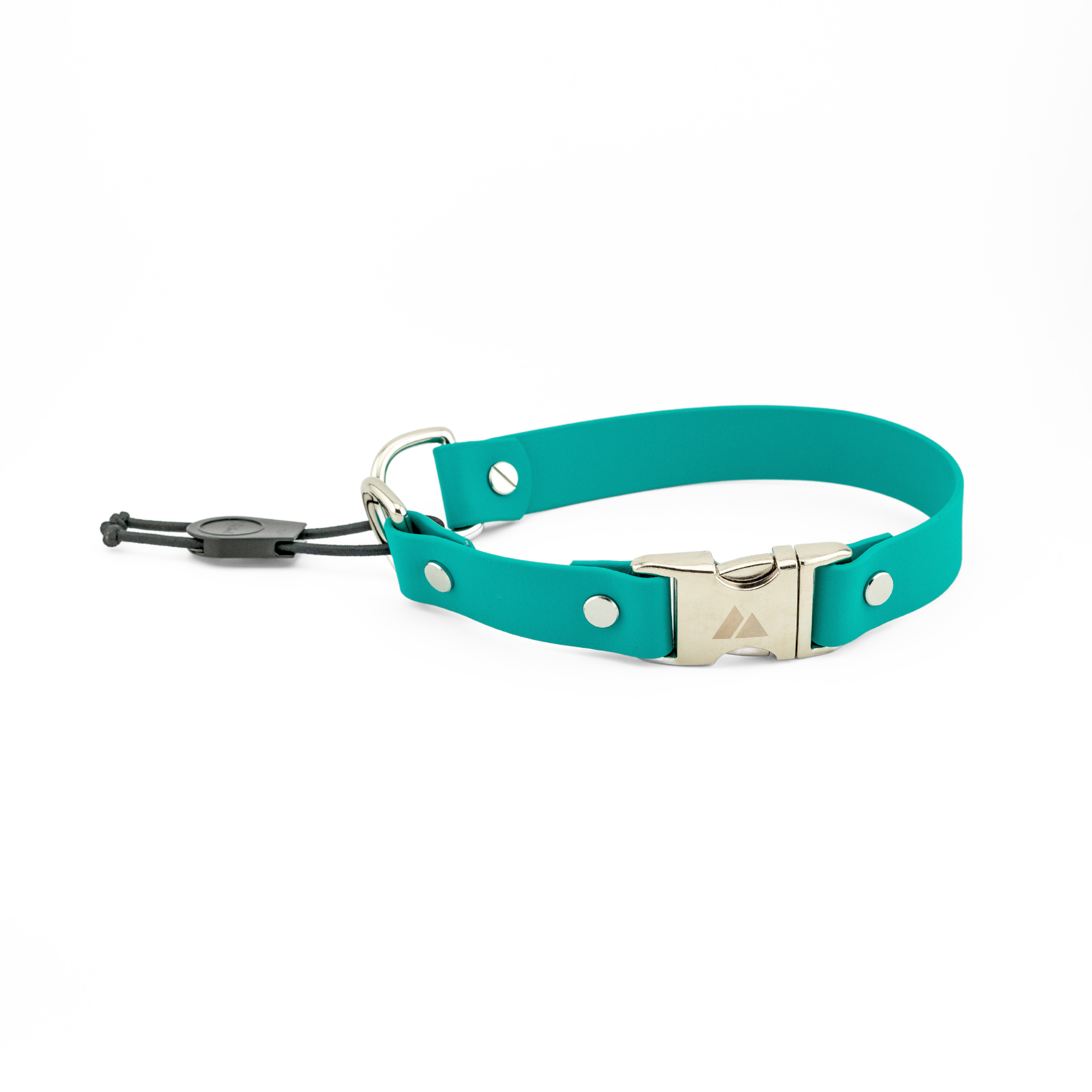 Atlas BioThane® 1" E-Collar Strap, Quick Release, Bungee