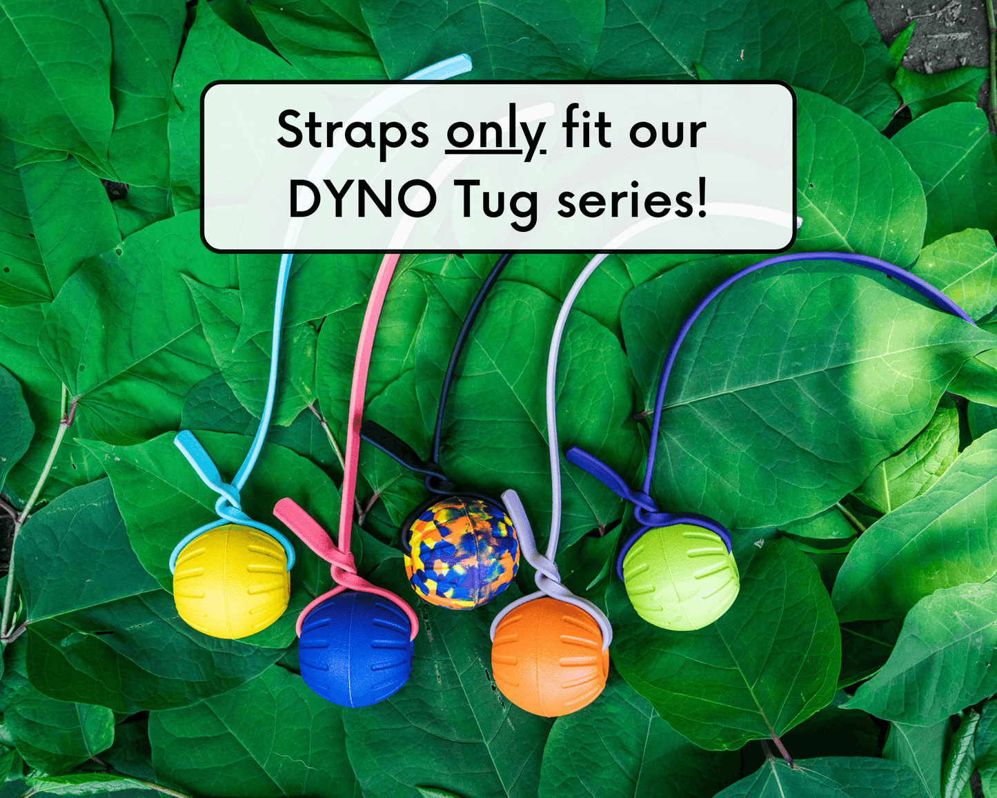 HANDLE ONLY for DYNO BioThane® Tug Toy
