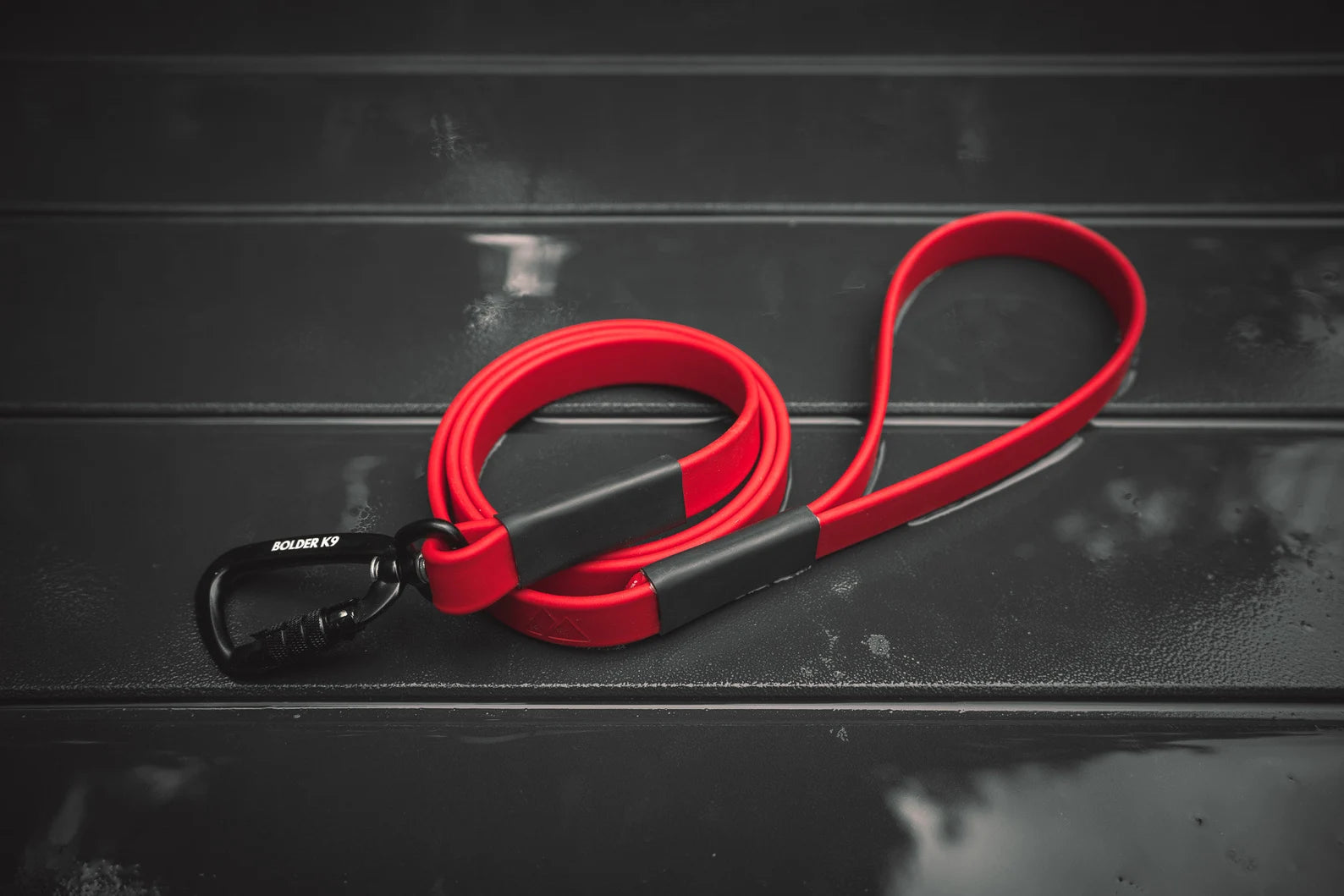 Professional Sewn BioThane® Dog Leash