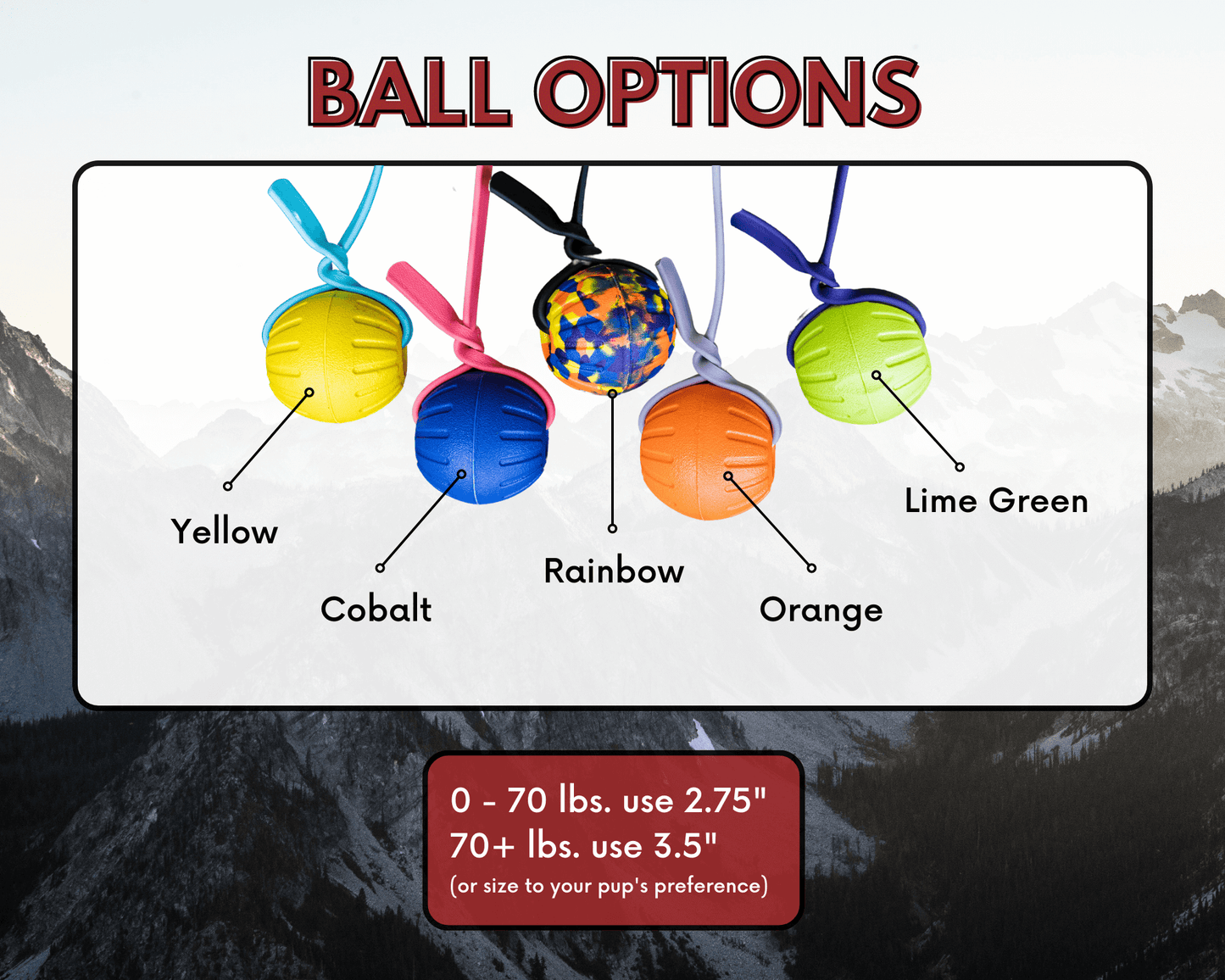 DYNO BioThane® Tug Toy with Durable Floating Foam Ball
