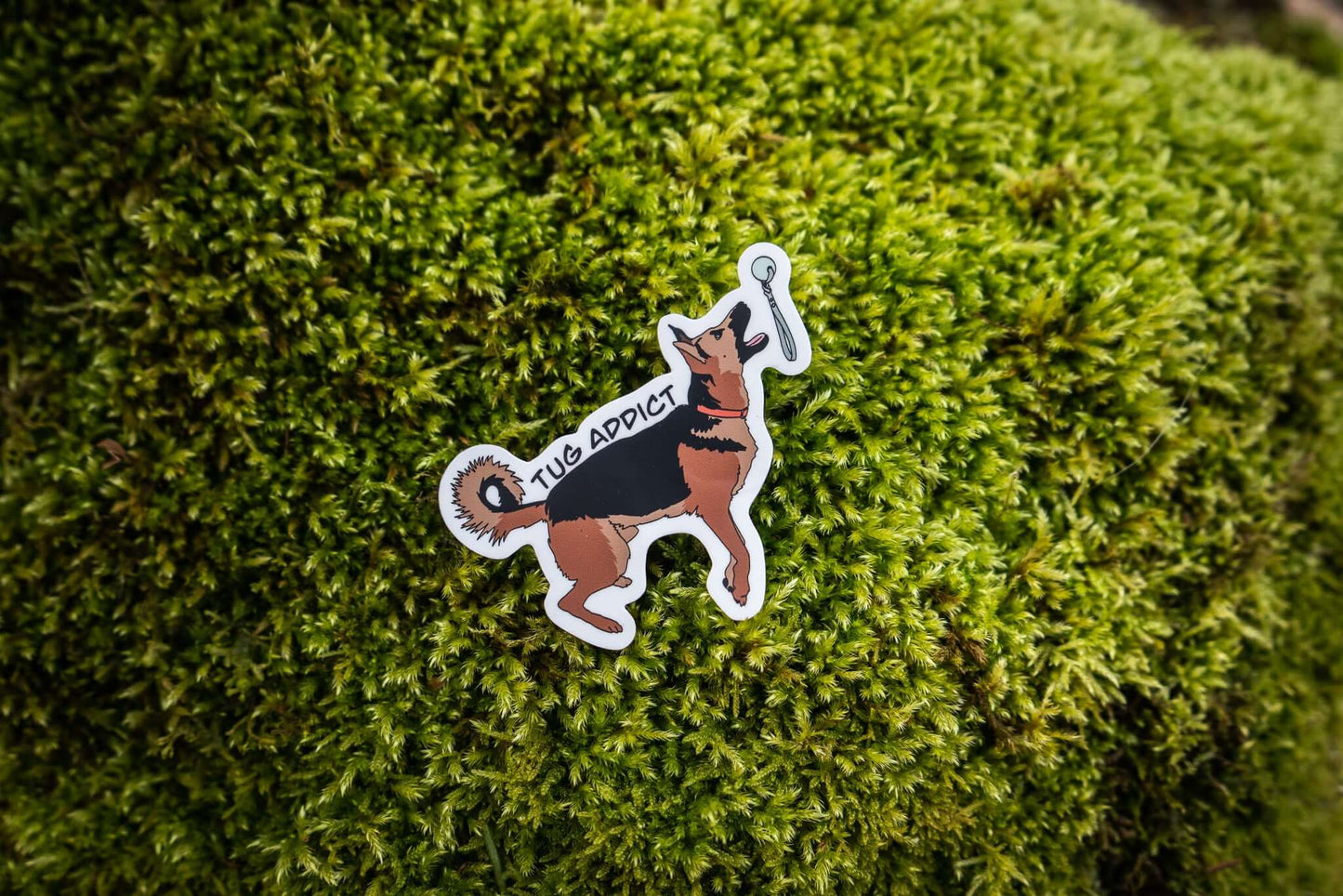 Tug Addict Dog Sticker