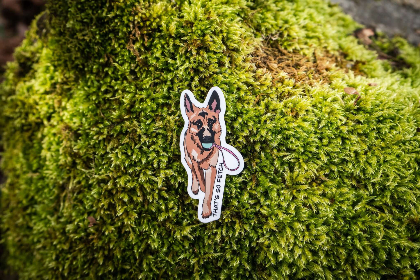 That's So Fetch Dog Sticker