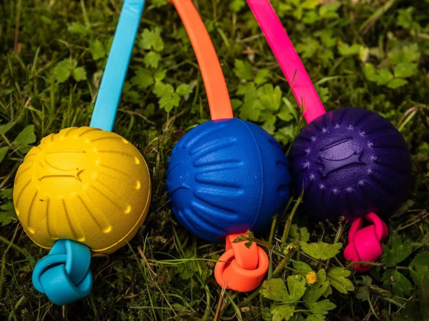 Splash Floating BioThane® Tug - Bolder K9