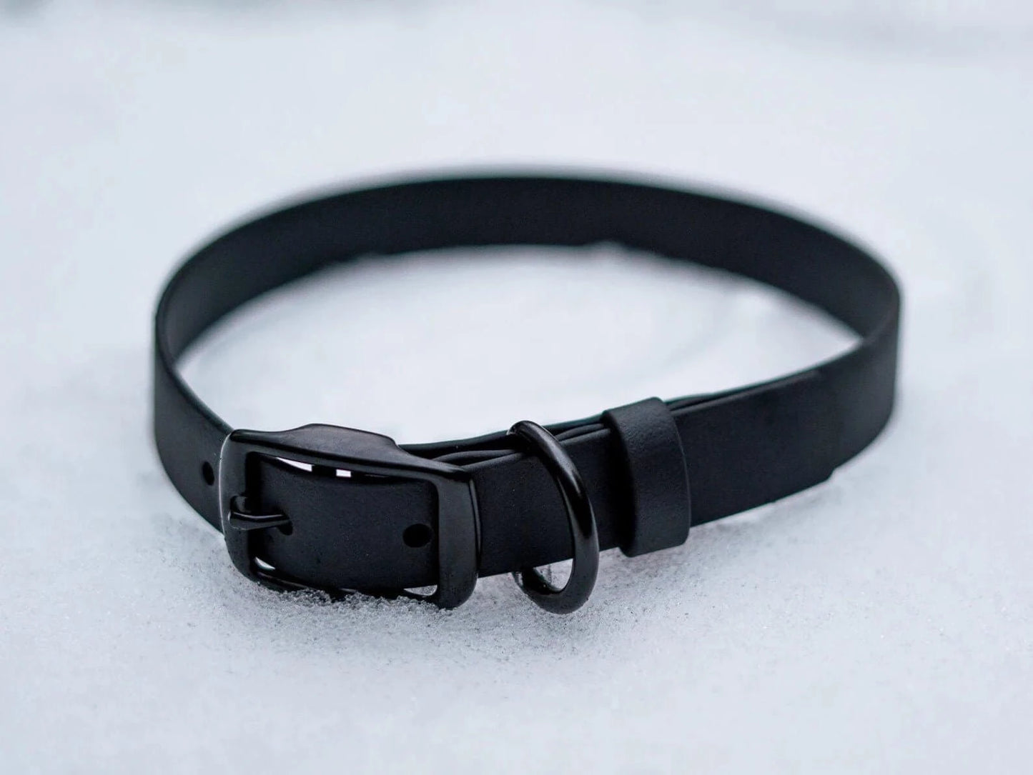 Voyager BioThane® 1" Adjustable Dog Collar - Bolder K9