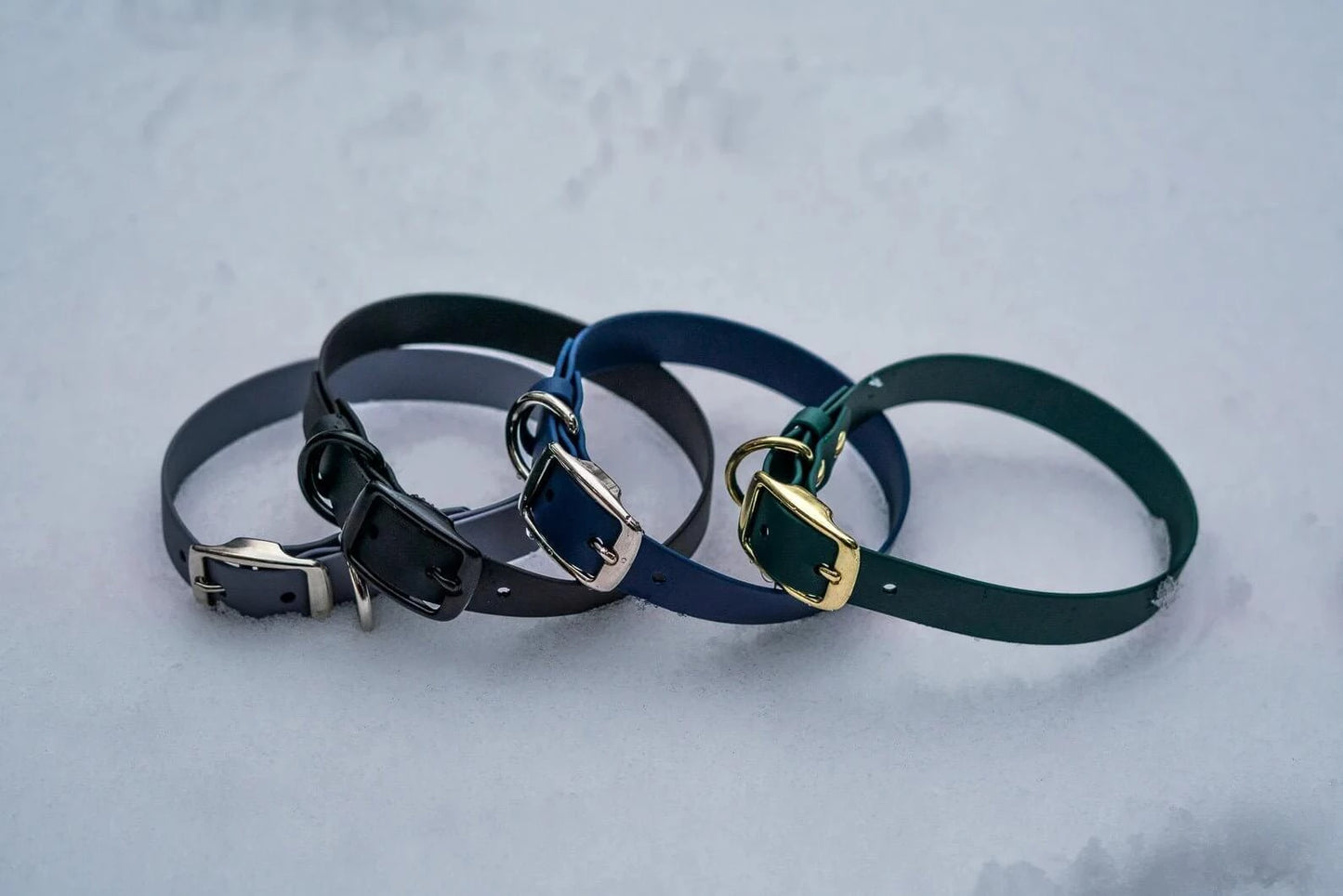 Voyager BioThane® 1" Adjustable Dog Collar - Bolder K9