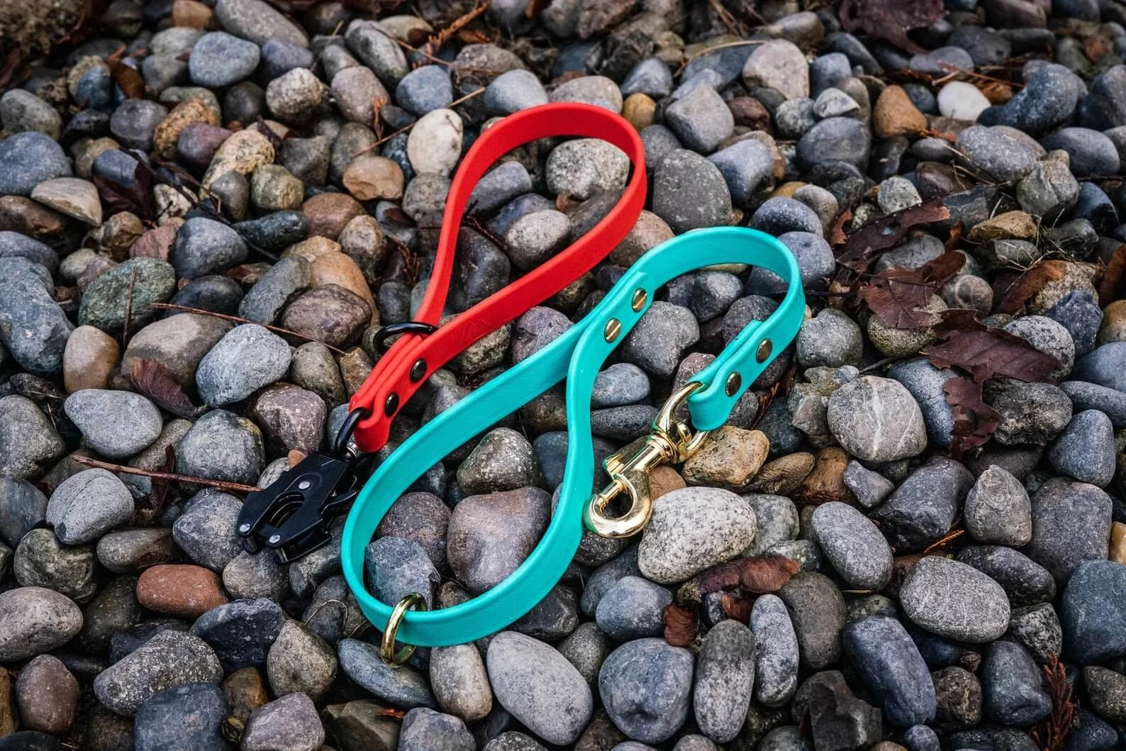 Traffic sales lead leash