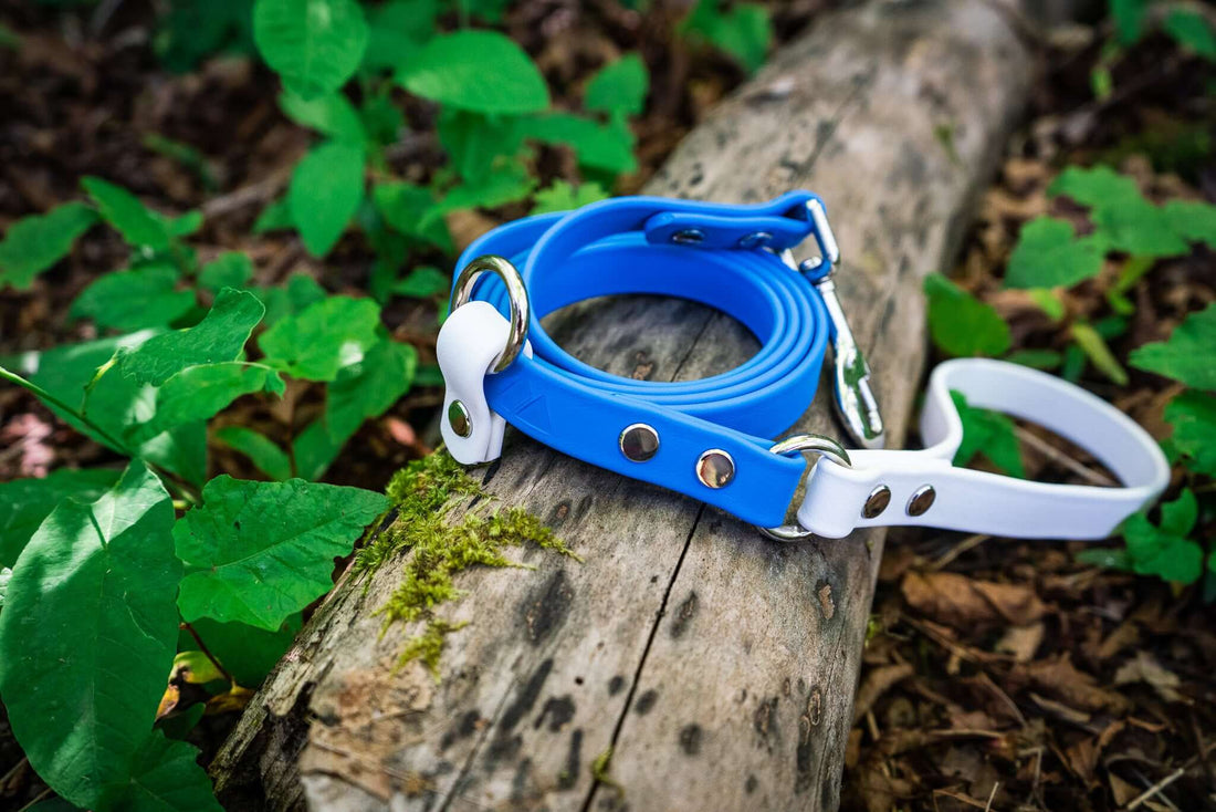 Unleashing the Power of BioThane: The Ultimate Leash Material for Your Dog