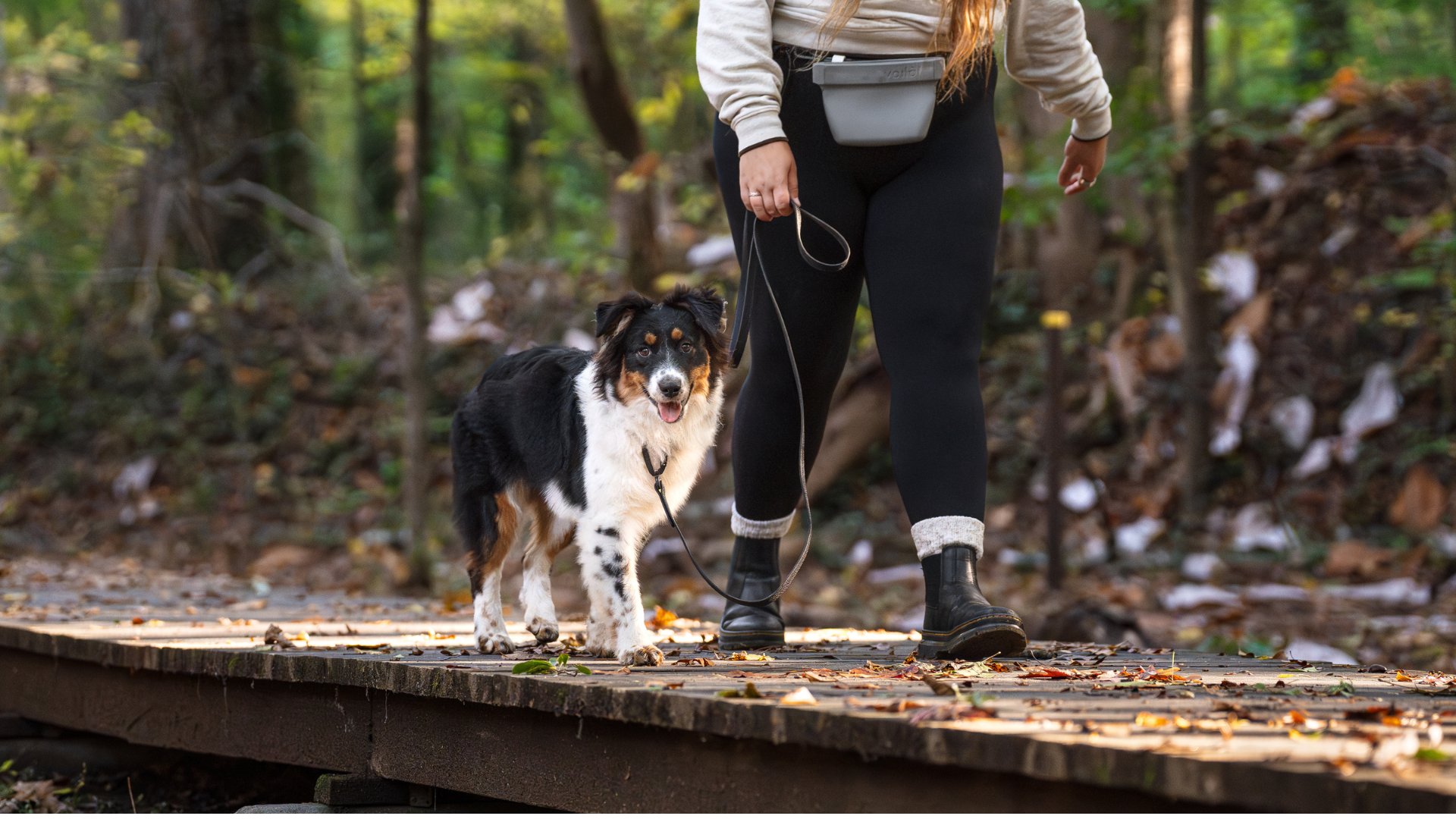 Top 5 Reasons a BioThane® Dog Leash Beats the Rest (+ Our Picks)