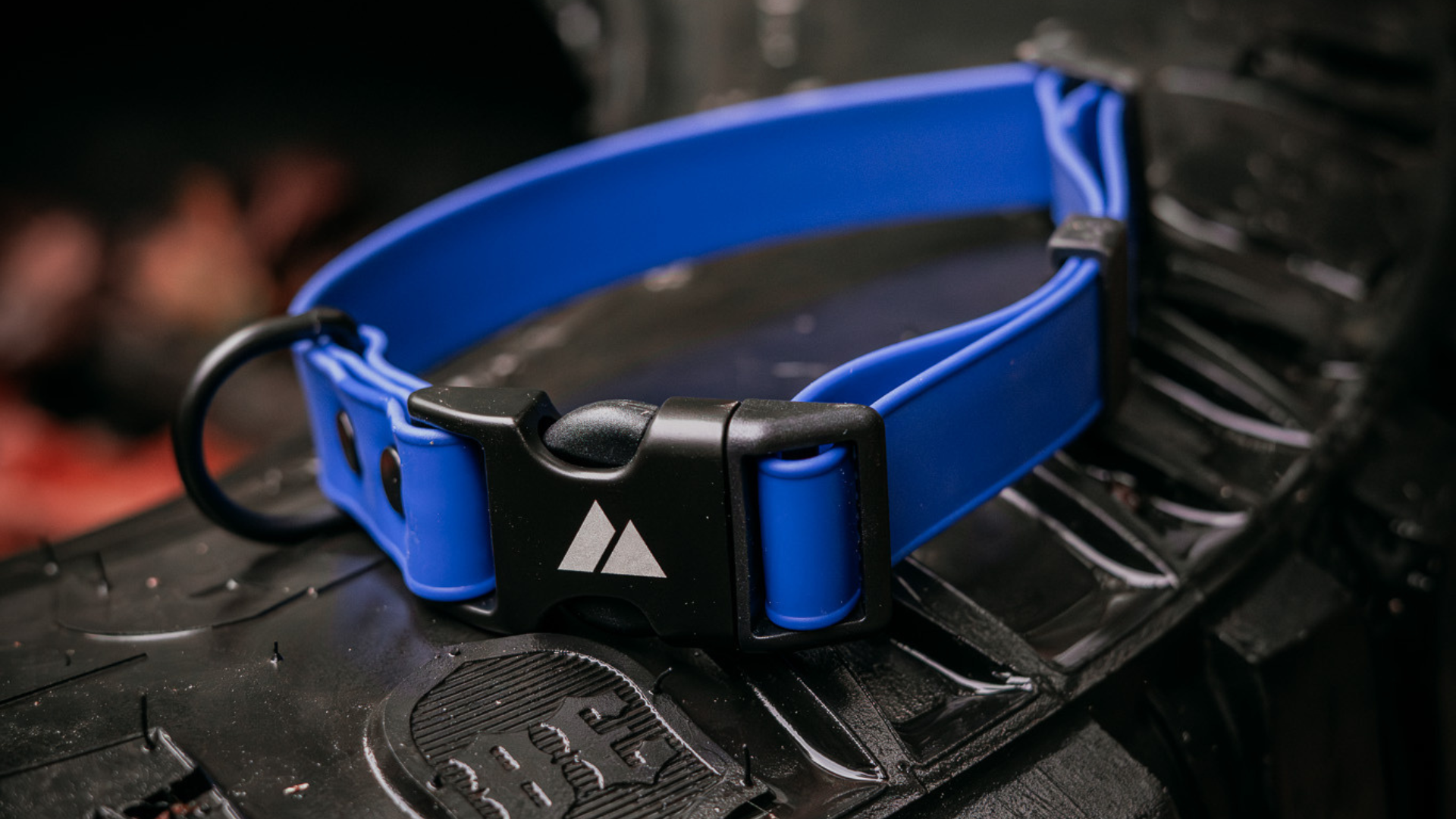 biothane dog collar on a tire