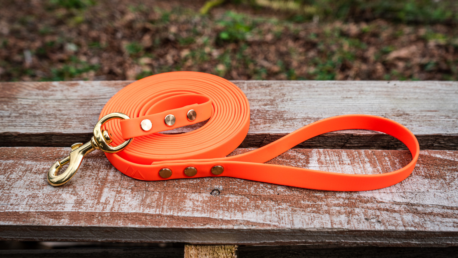 Top 5 Biothane Dog Gear Picks for 2026