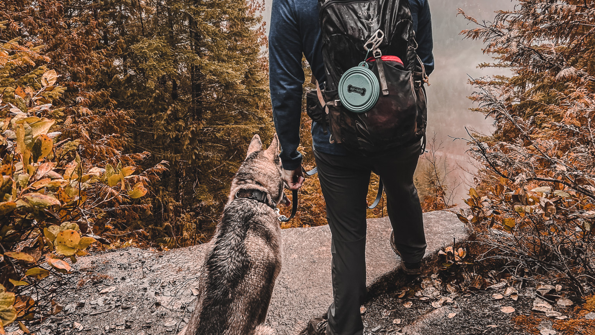 husky and man standing in rainy pacific northwest with biothane dog leash