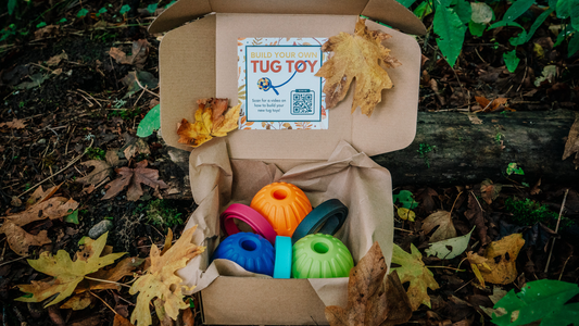Unwrap the Perfect Holiday Surprise for Your Pup: The DIY Build-Your-Own Tug Kit™!