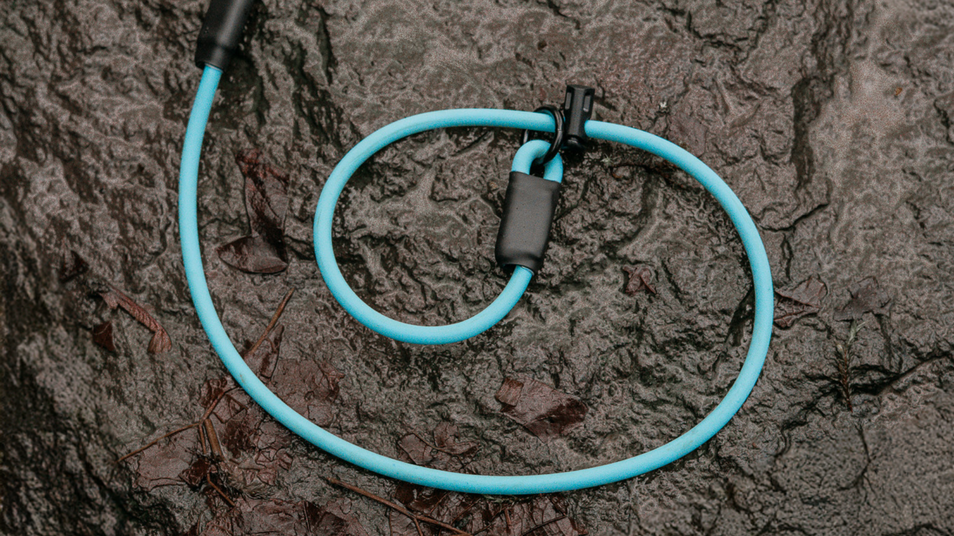 BioThane® Rope Slip Lead: A Classic Reimagined