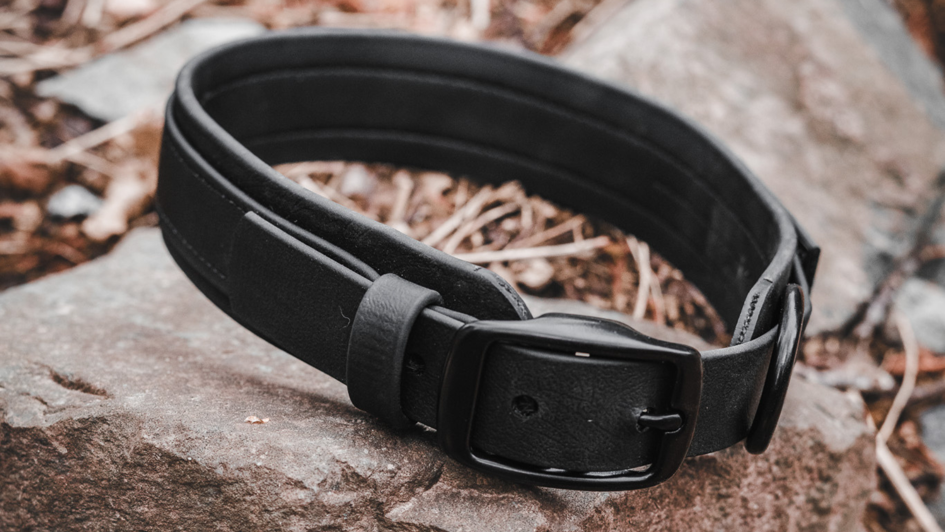 Why BioThane Is the Ultimate Choice for Dog Collars