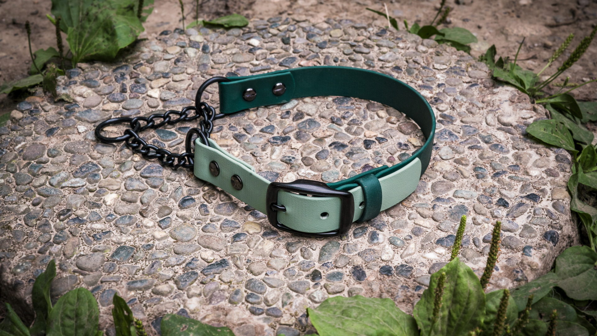 The Benefits of Biothane Martingales: A Reliable Choice for Training and Everyday Use