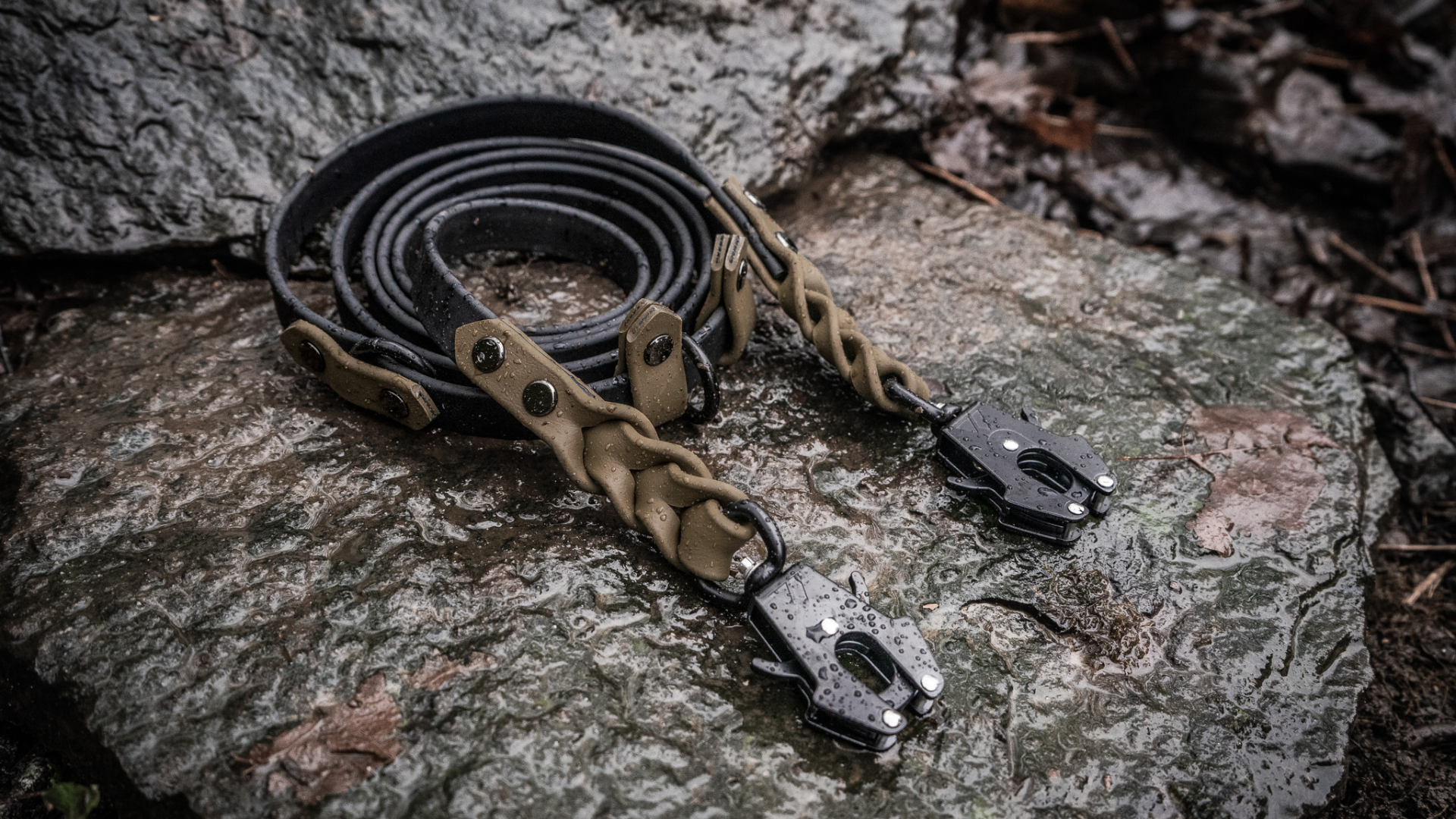 Why a BioThane® Dog Leash is the Best Choice for Durability and Performance