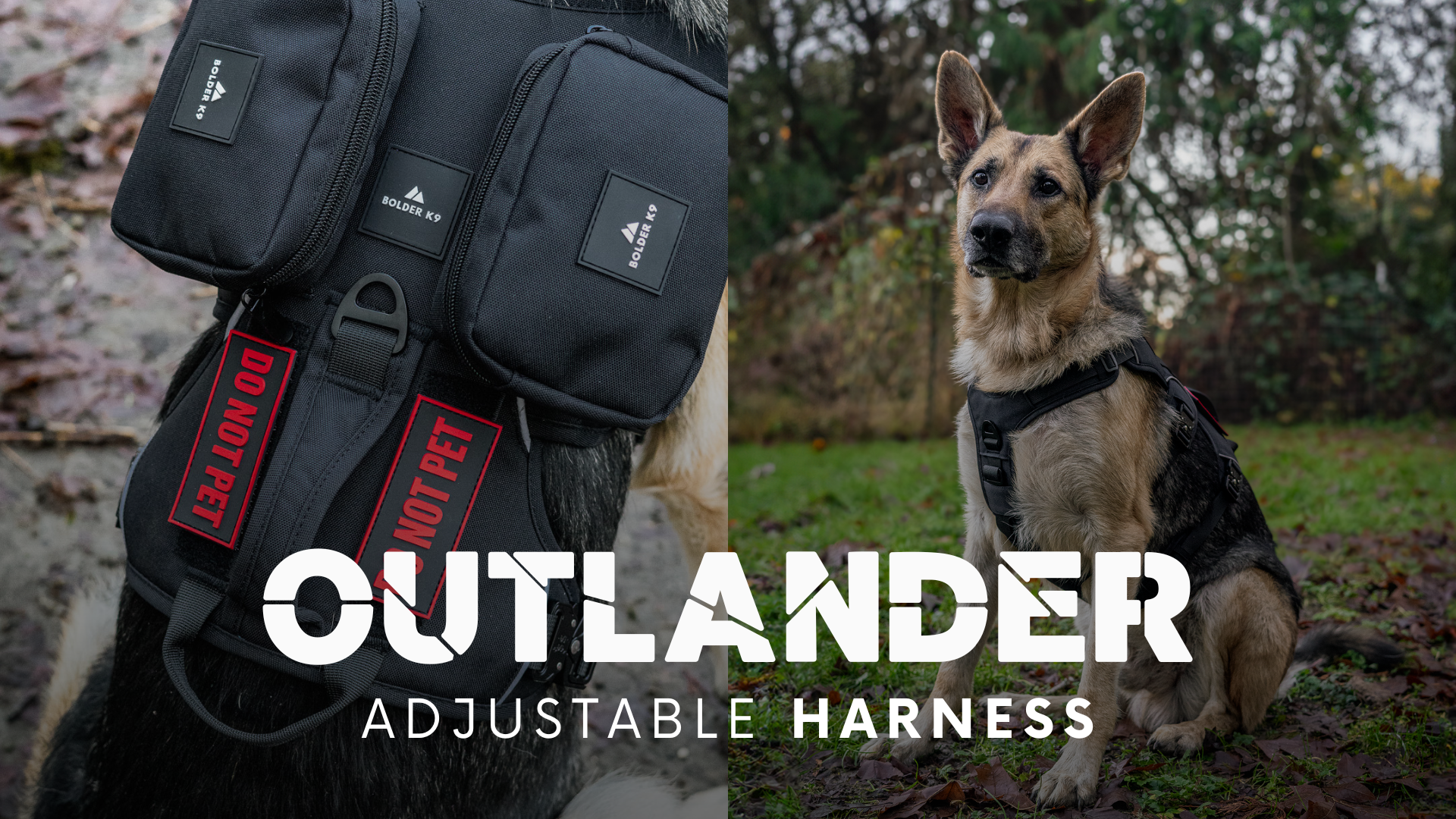 The Outlander Adjustable Dog Harness: Your Next Adventure Starts Here