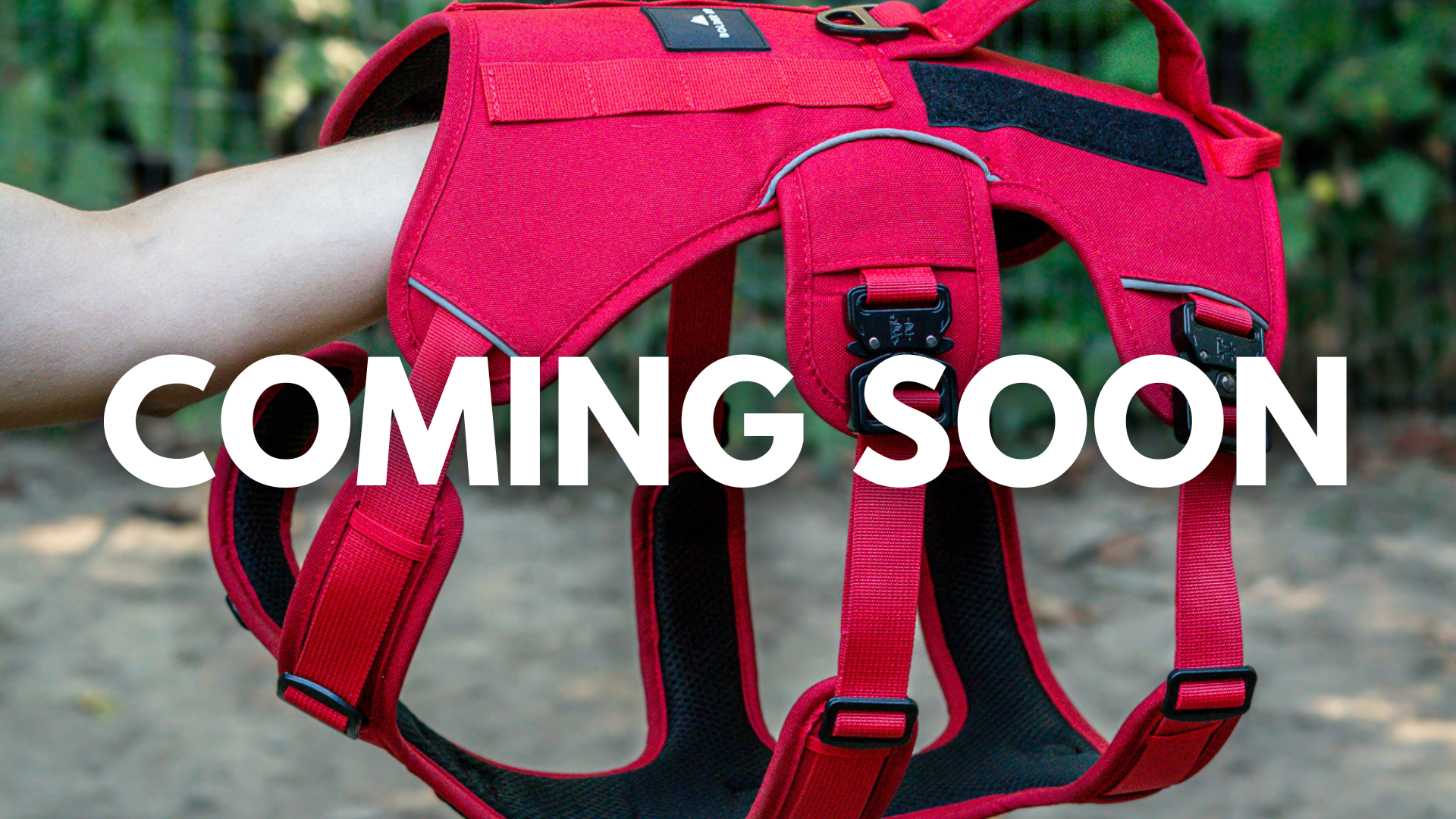 Get Ready for the Bolder K9 Harness: Pre-Sale Planned for December 1!