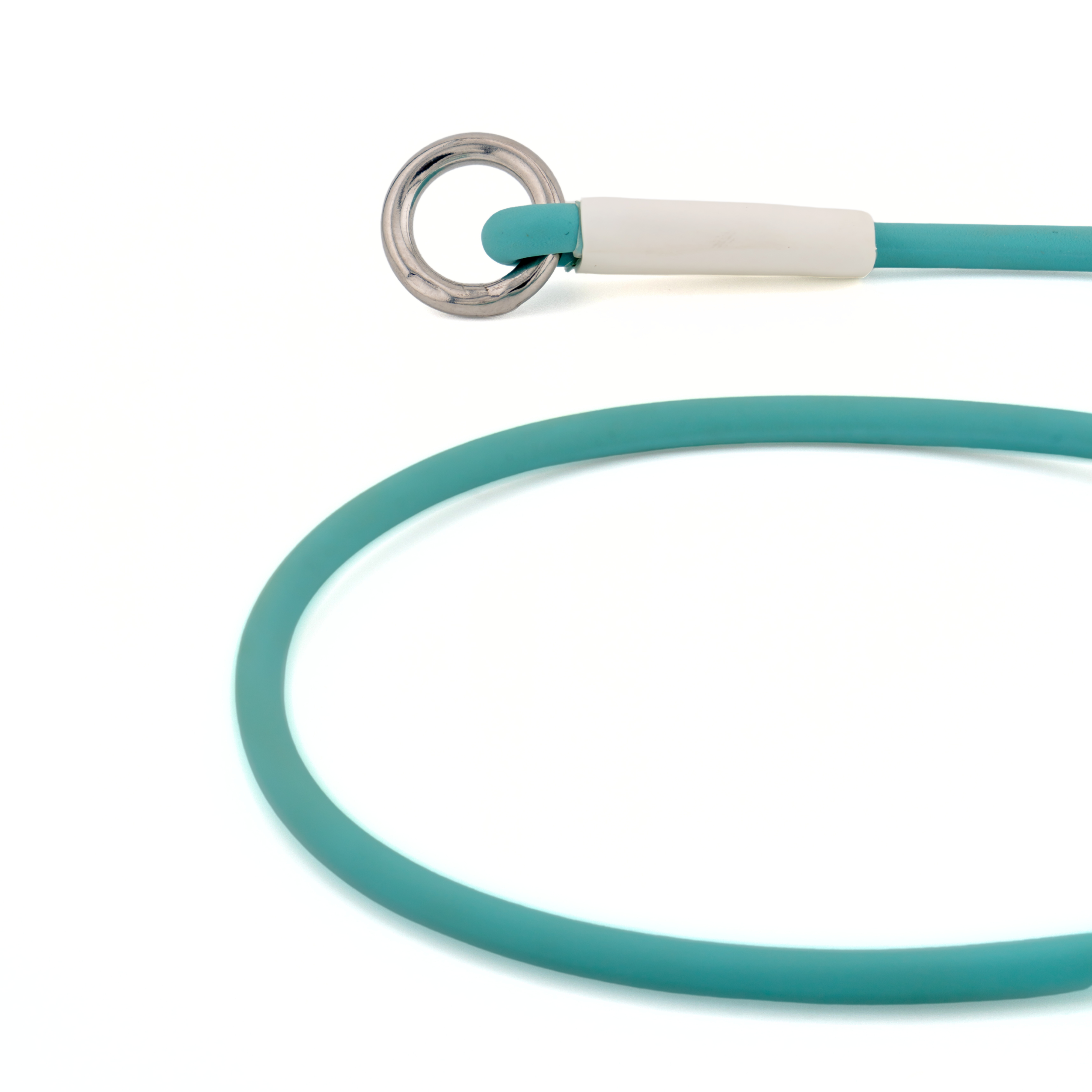 Close-up of lightweight BioThane® rope slip lead collar with a solid metal ring for durability and secure attachment.