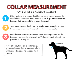 "Collar measurement guide for bungee e-collars with steps for accurate sizing using measuring tape from ears to neck base."