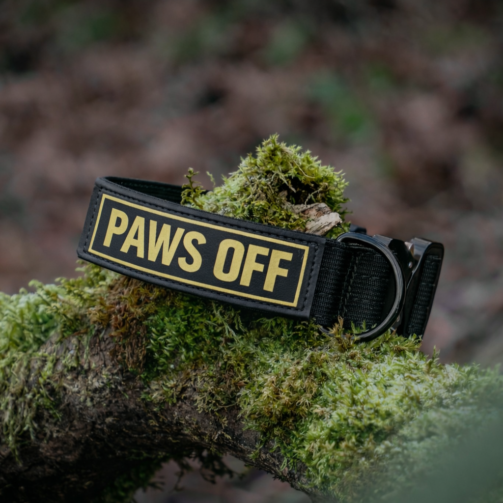 Black dog collar with 'PAWS OFF' tag on a mossy branch