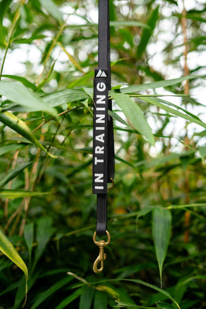 Slim waterproof BioThane leash wrap with reflective "In Training" lettering hanging in front of green foliage.