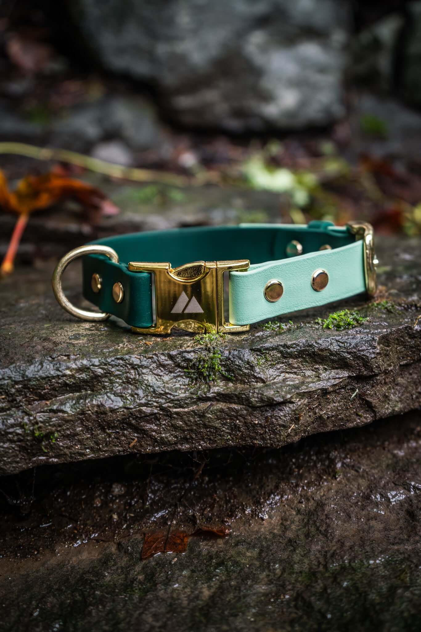 two tone dog collar with sage and forest green biothane colors and a gold quick release buckle on a stone background