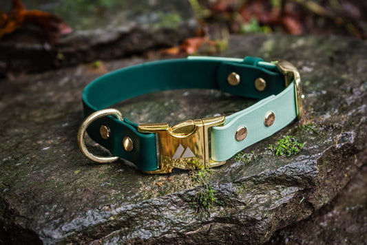 two tone dog collar with sage and forest green biothane colors and a gold quick release buckle on a stone background