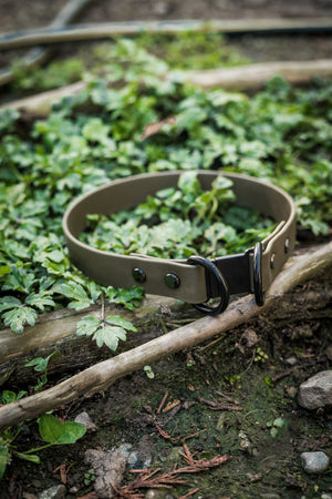 BioThane breakaway dog collar 1 inch wide on a leafy background, supporting True North GSD Rescue and pet safety.