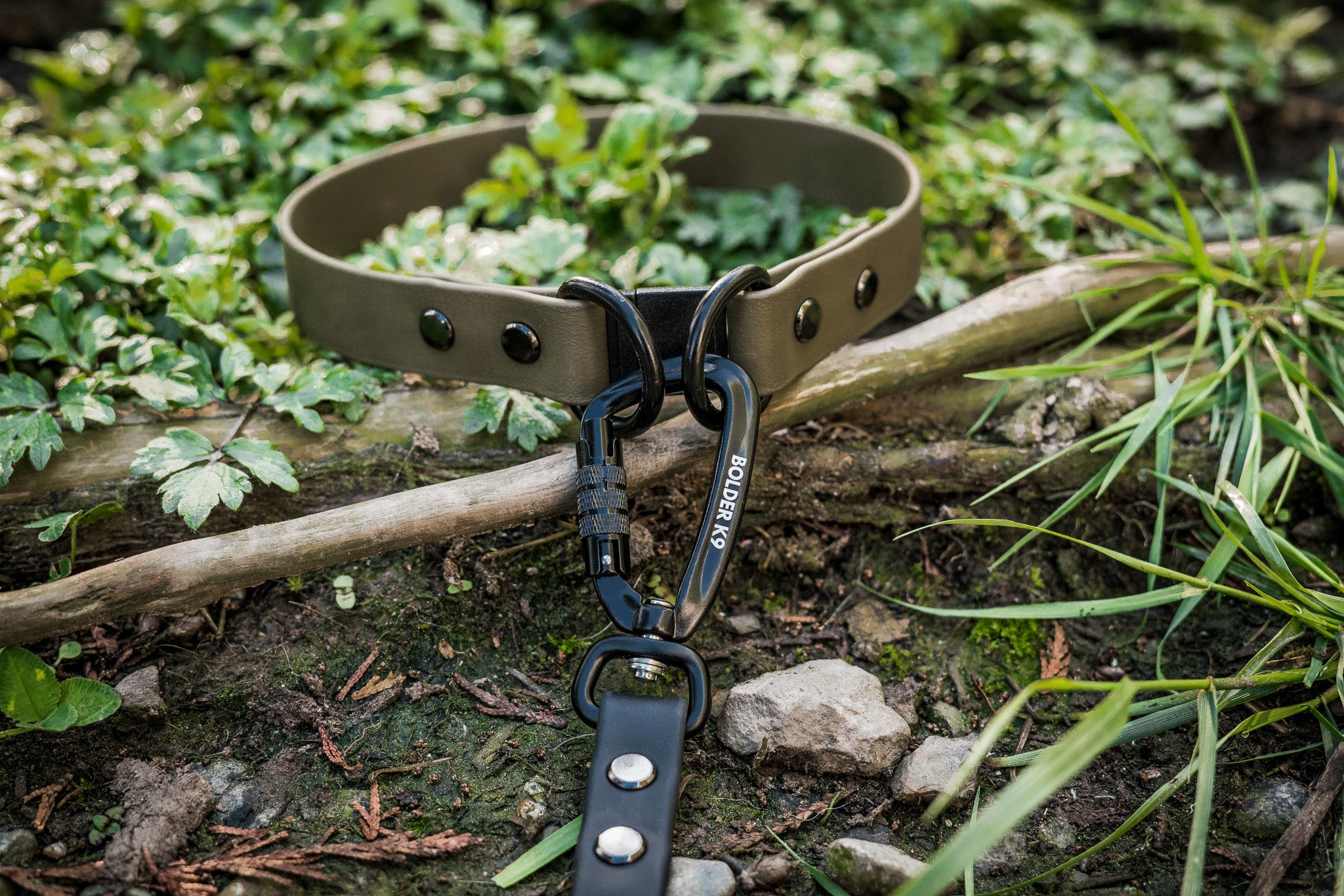 Durable BioThane breakaway dog collar on forest ground amidst greenery, designed for safety and comfort. Profits aid dog rescue.