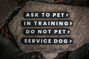 Dog training signs with phrases like "Ask to Pet" and "Service Dog" on black background with white reflective lettering.