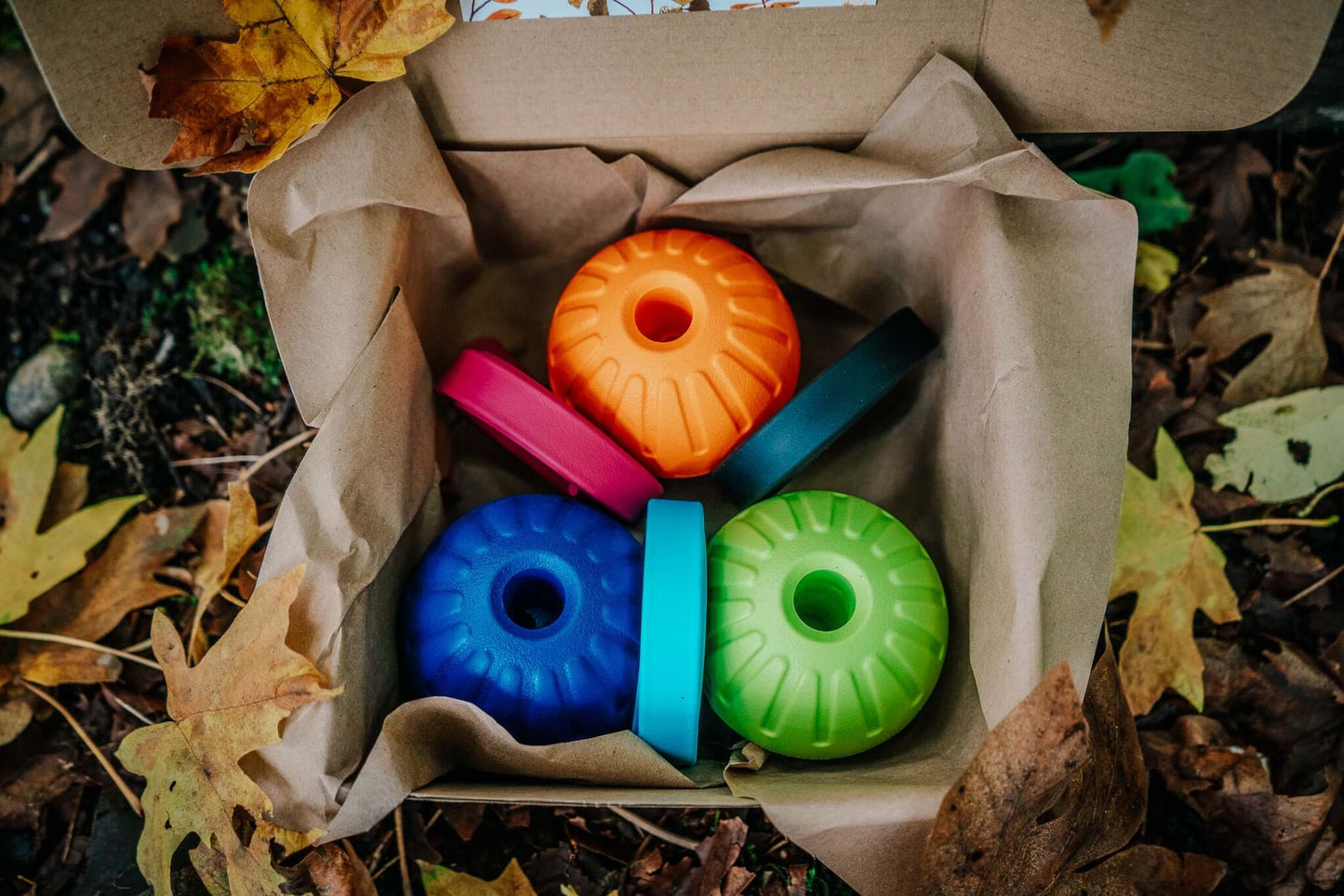 build your own tug kit cardboard box with three custom foam ball options and three custom biothane handle options with a background of a pile of leaves