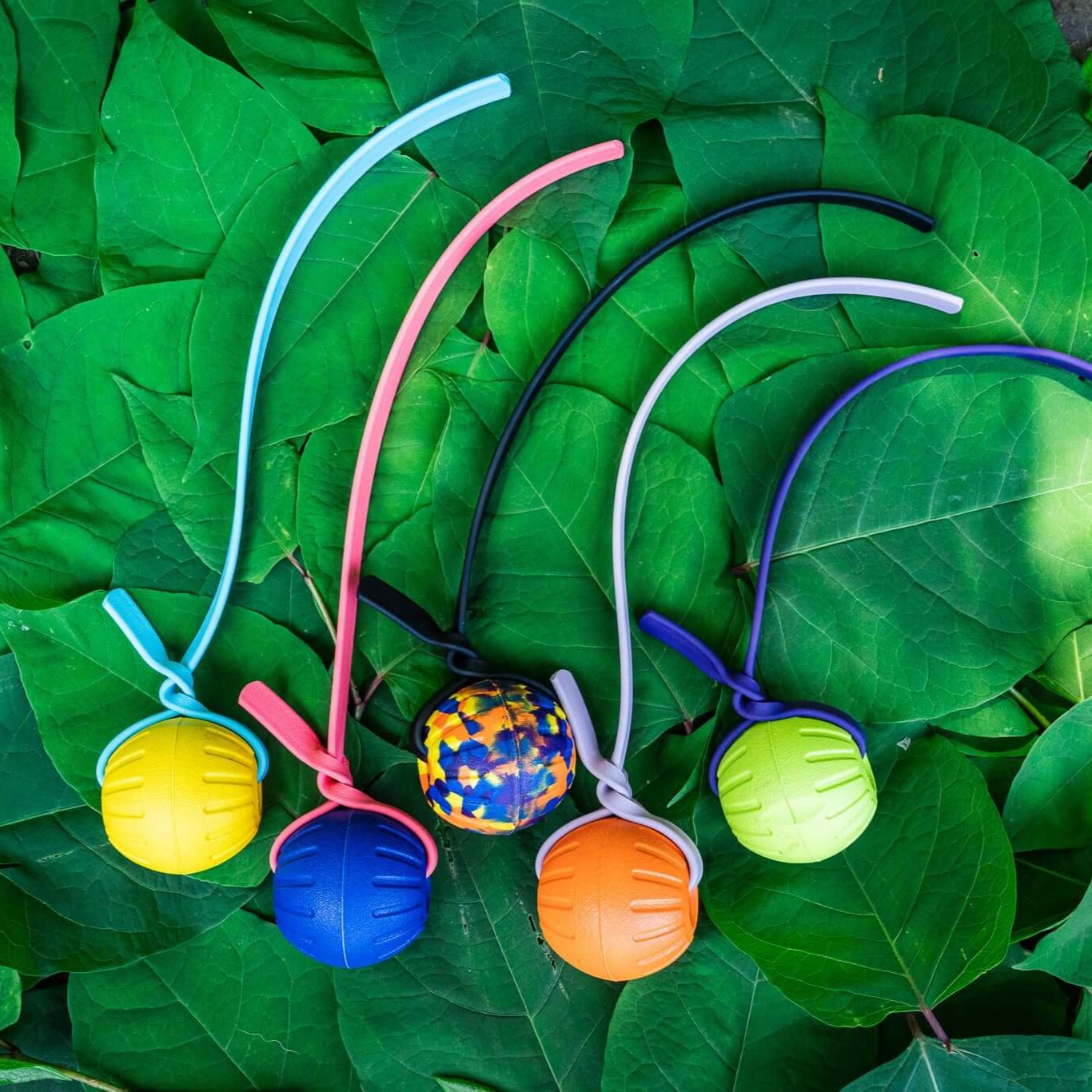 five tugs with different custom foam balls each with a different custom biothane strap of various colors on a background of leaves