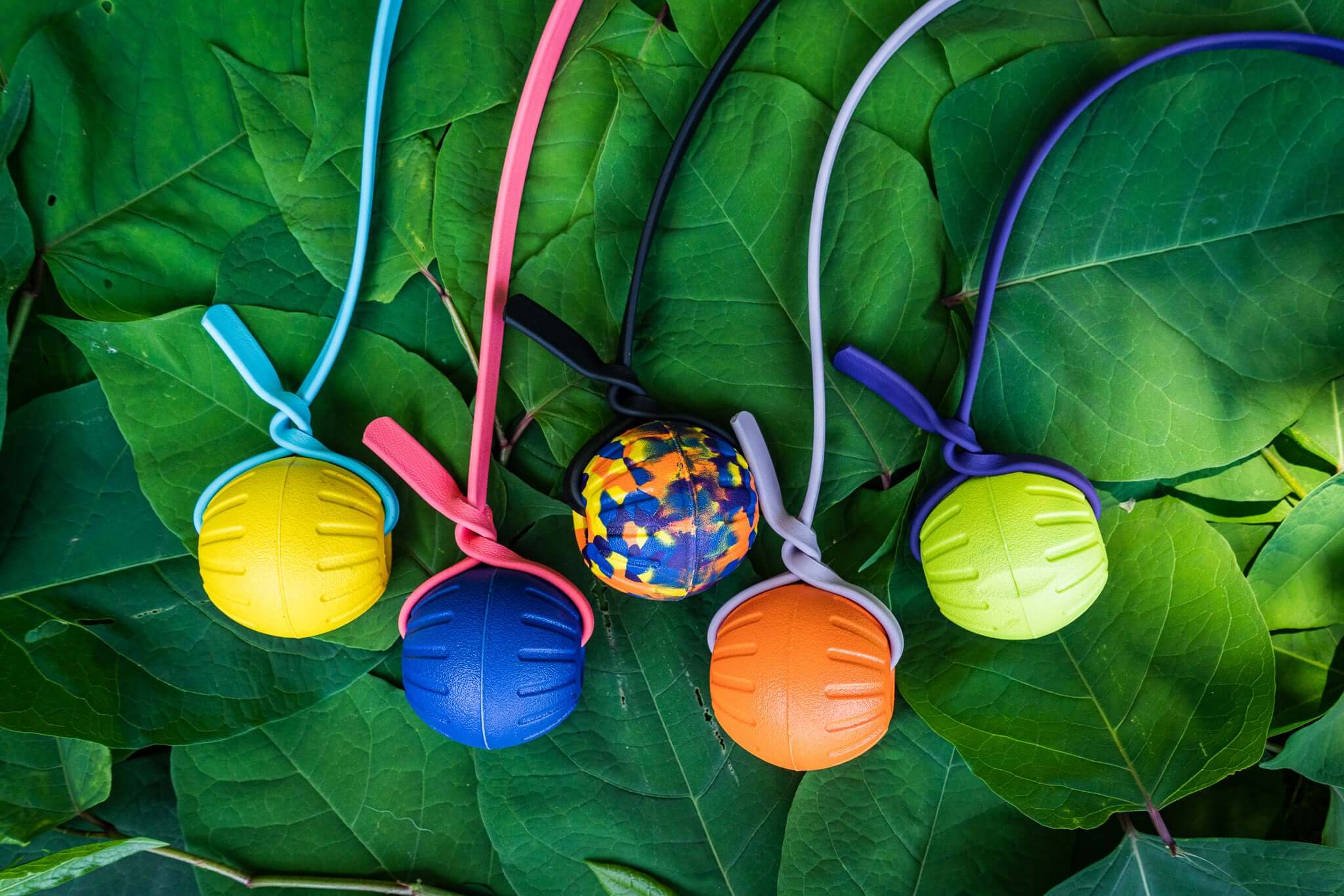 five tugs with different custom foam balls each with a different custom biothane strap of various colors on a background of leaves