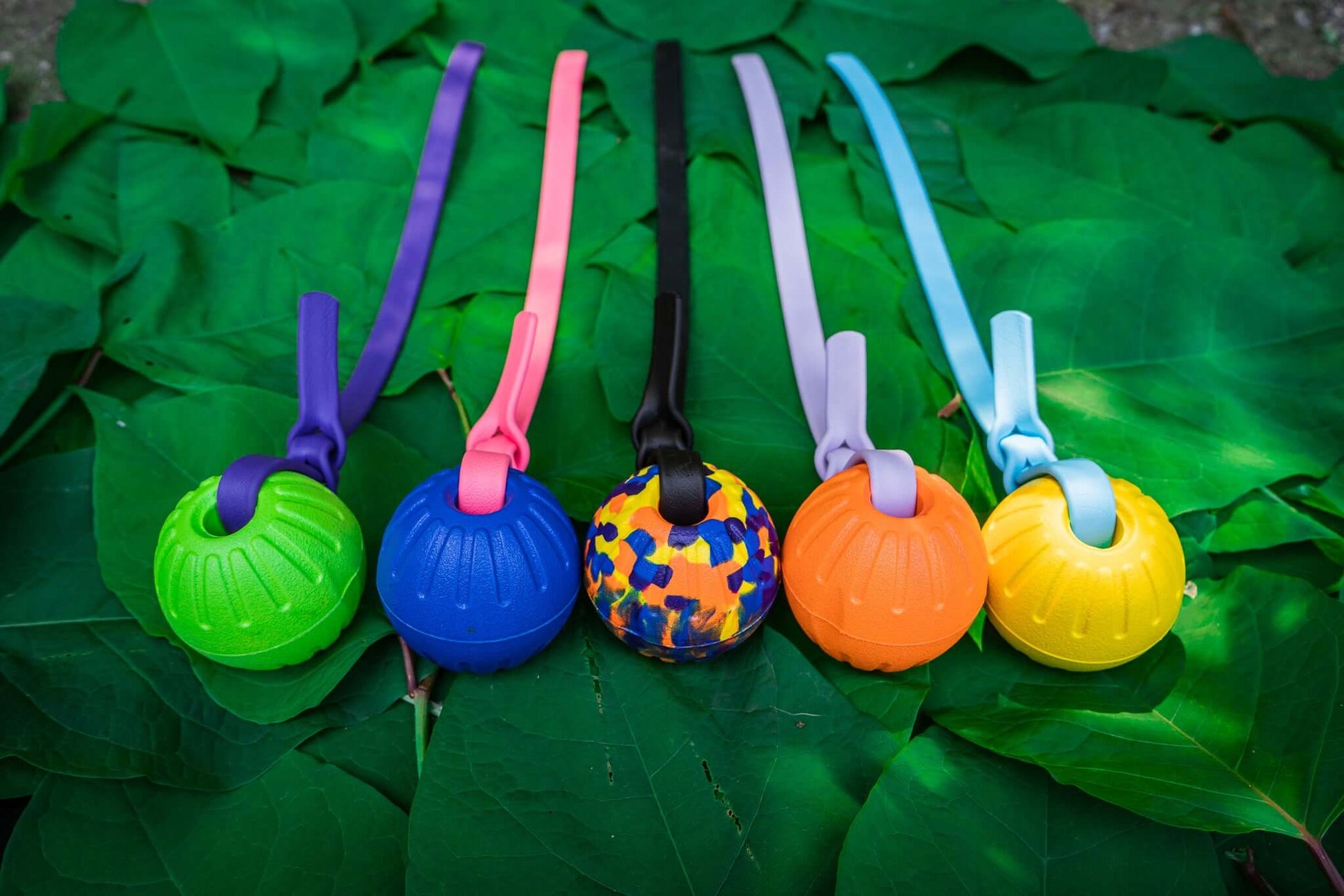 five tugs with different custom foam balls each with a different custom biothane strap of various colors on a background of leaves
