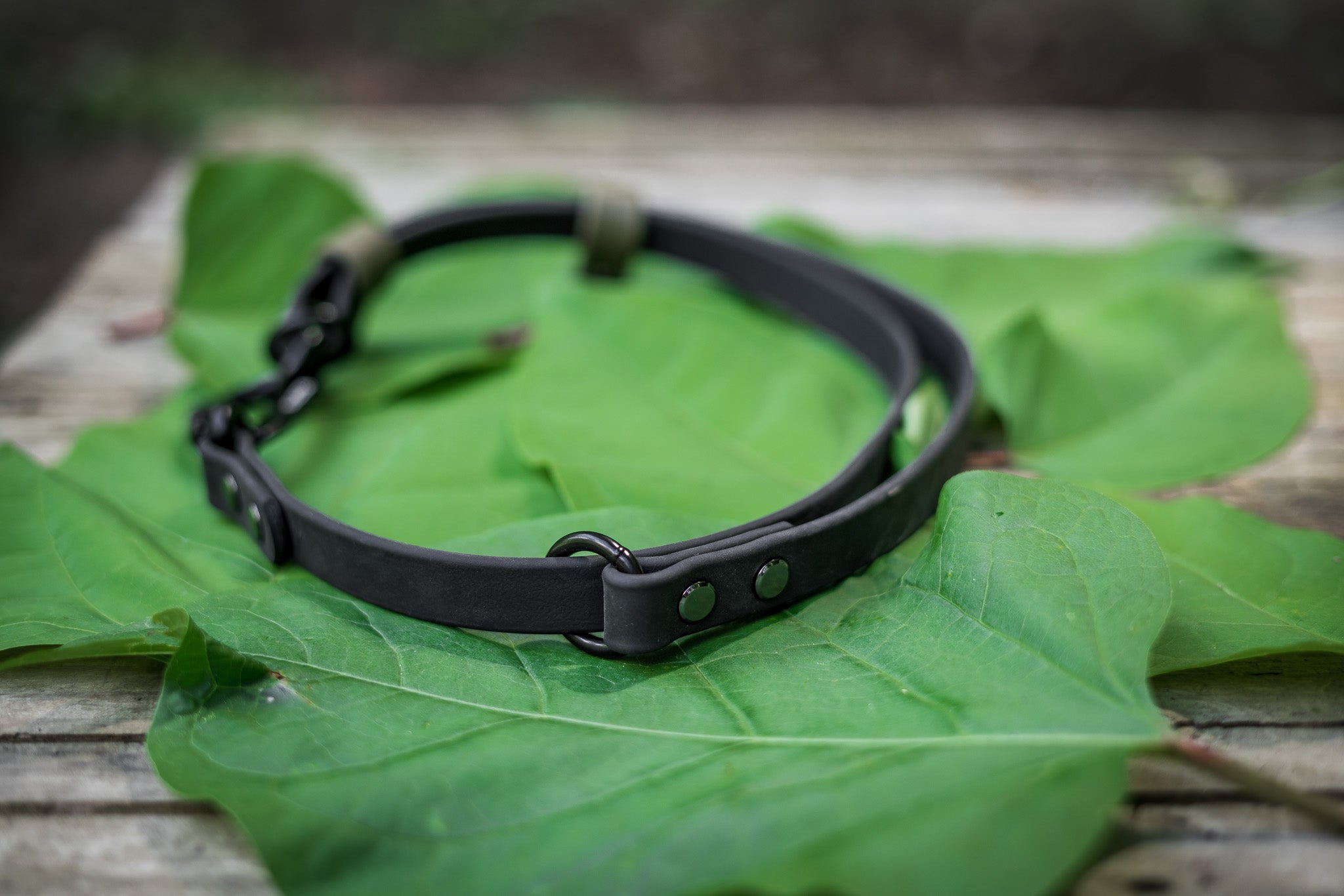 Hands-Free BioThane® Adapter for belts or shoulders, adjustable and versatile for multiple dog leashes, displayed on green leaves.