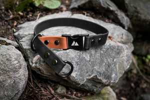 Atlas Customizable Slip BioThane® Dog Collar on Rocks with Quick-Release Buckle