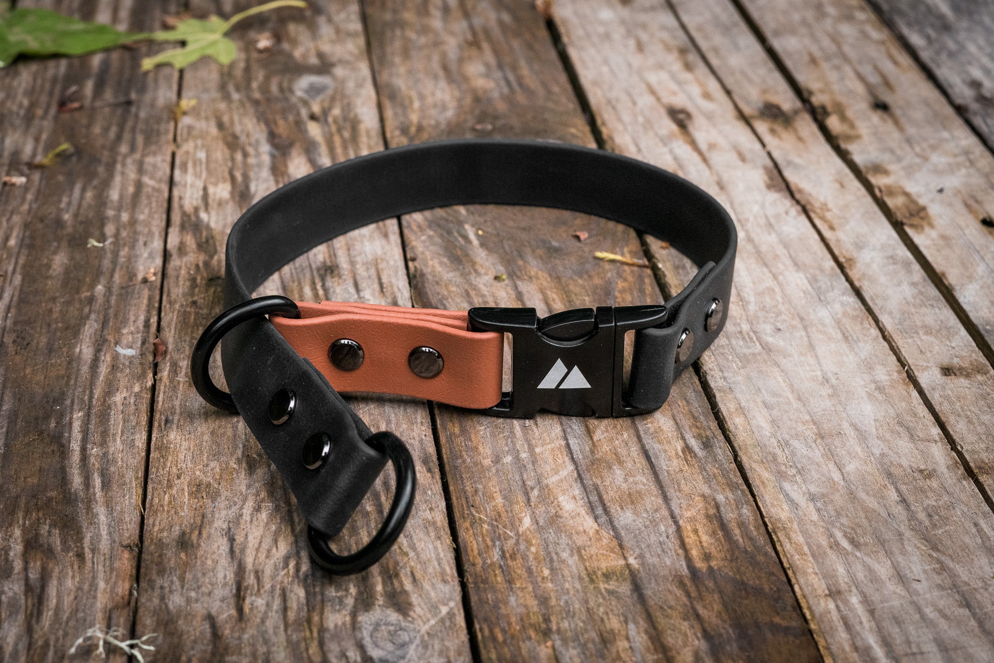 Atlas Customizable Slip BioThane® Collar, Quick-Release, Durable Dog Collar on Wooden Surface