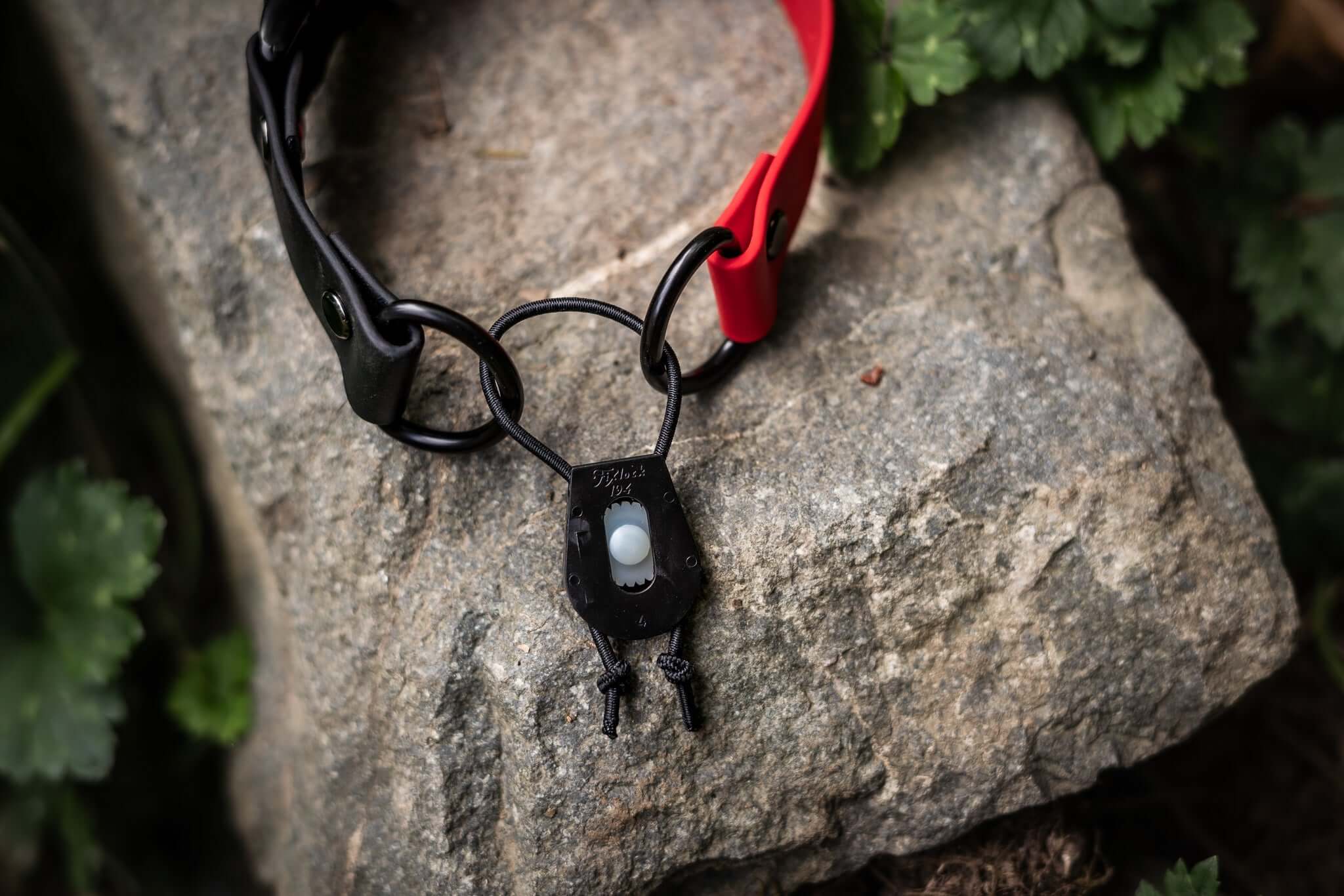 bright red and black biothane collar with black quick release buckle on a stone background